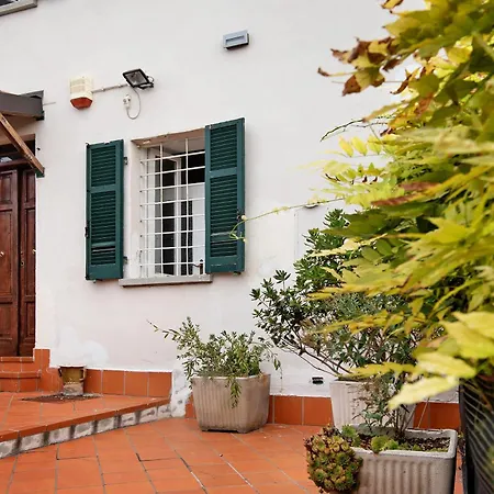 Casa Cigana *